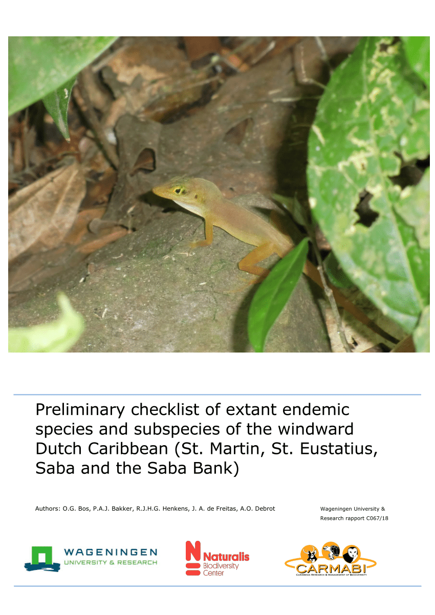 PDF) Preliminary checklist of extant endemic species and subspecies of the  windward Saba and the Saba Bank) Preliminary checklist of extant endemic  species and subspecies of the windward