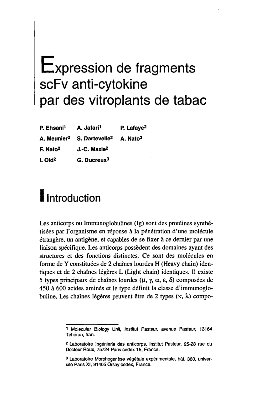 Pdf Expression De Fragments Scfv Anti Cytokine Par Des Vitroplants De Tabac