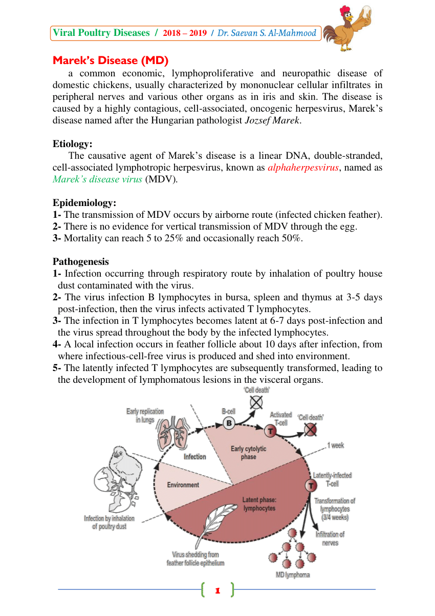 (PDF) Marek's Disease (MD)