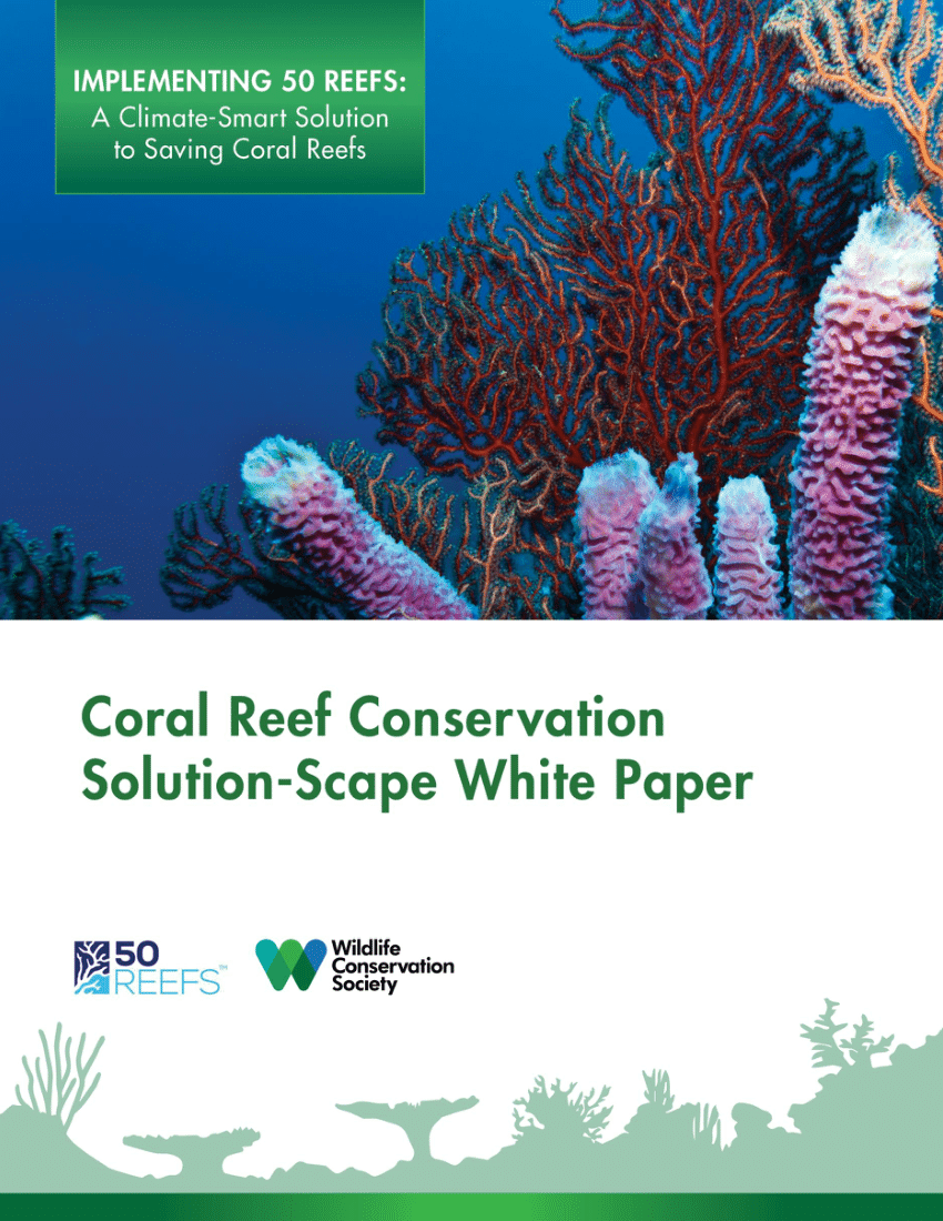 PDF Coral Reef Conservation Solution Scape White Paper