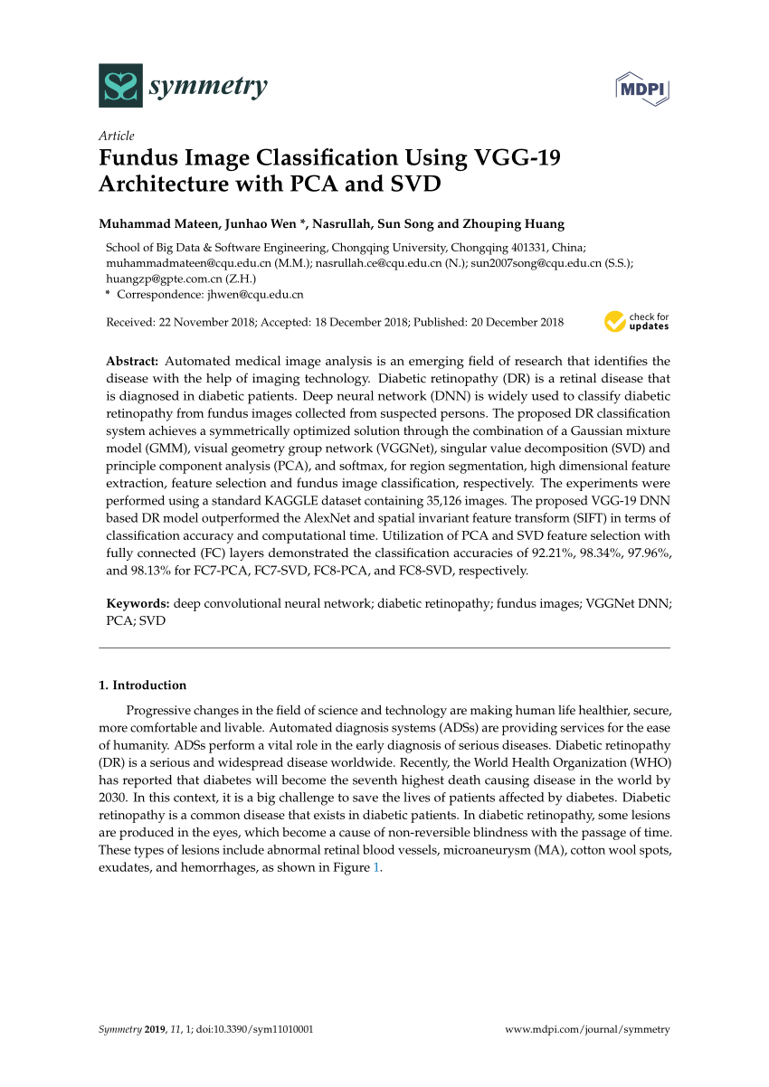 Pdf Fundus Image Classification Using Vgg 19 Architecture With Pca And Svd