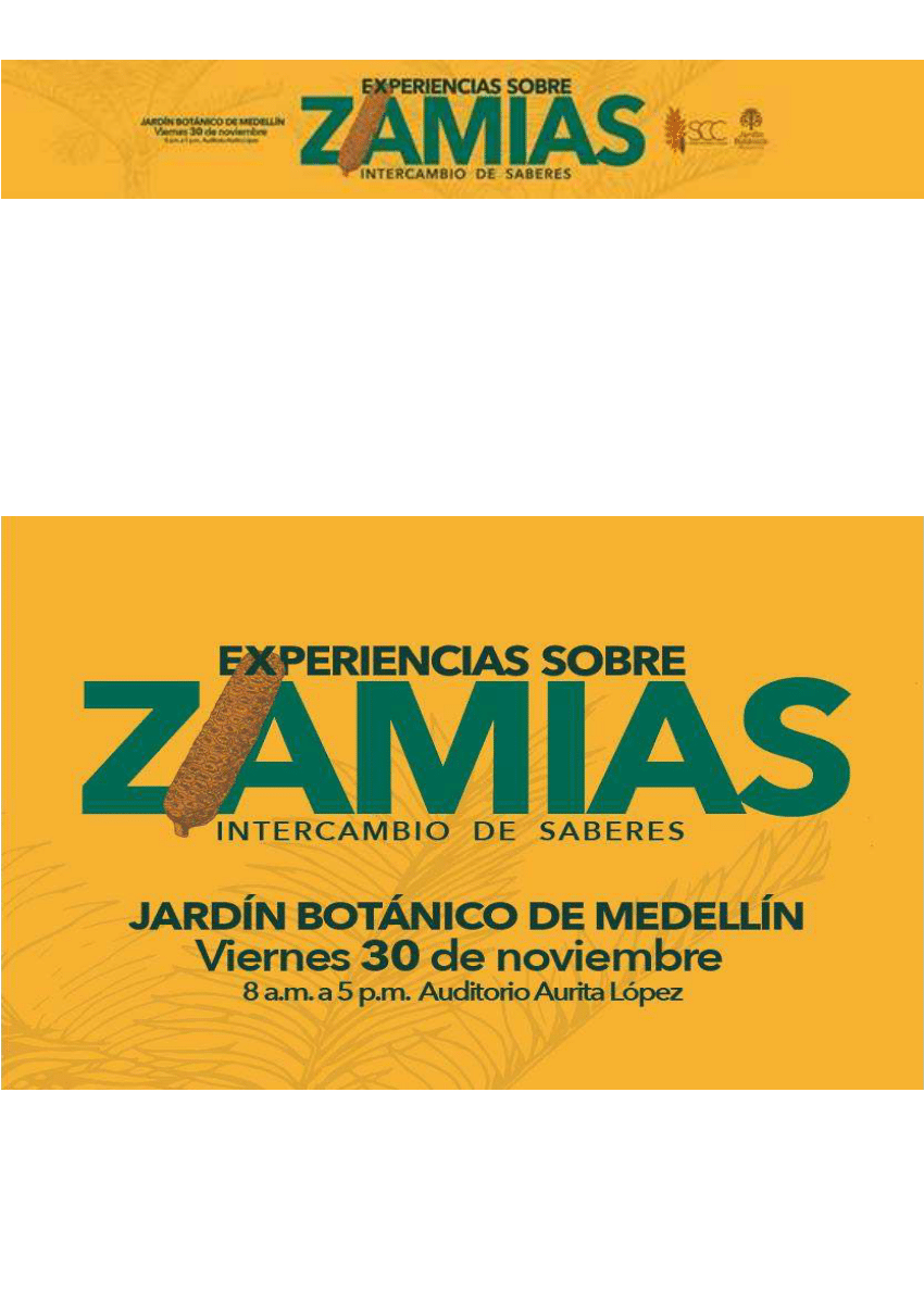 Organizador de libros Zamia