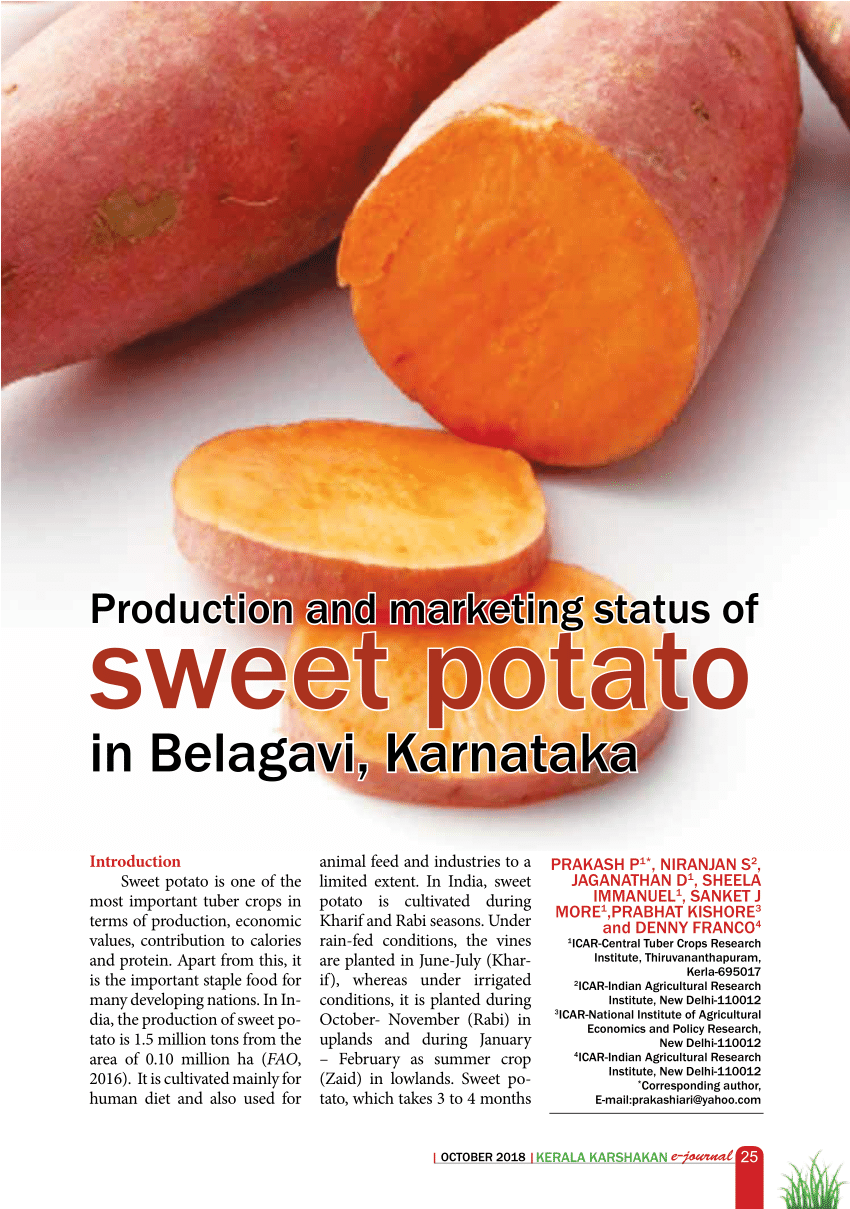 sweet potato business plan pdf