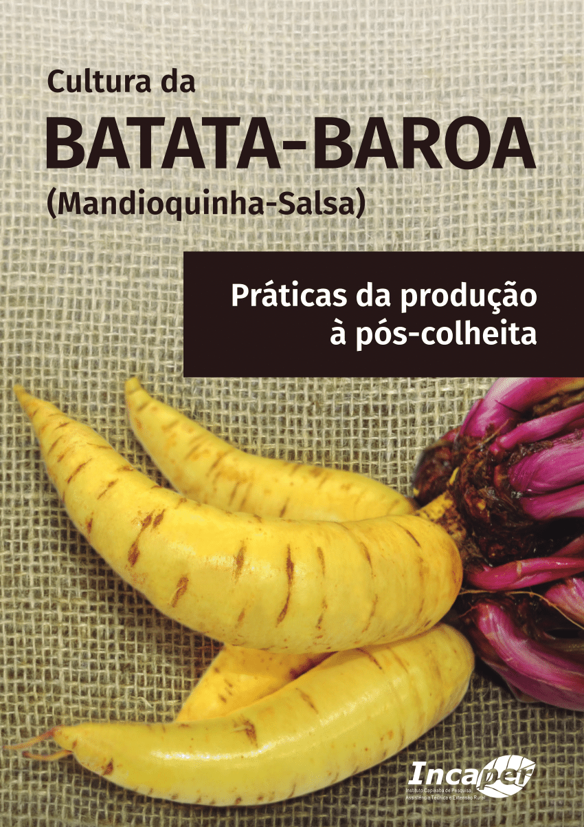 Pdf Cultura Da Batata Baroa Mandioquinha Salsa Práticas Da Produção à Pós Colheita 4756