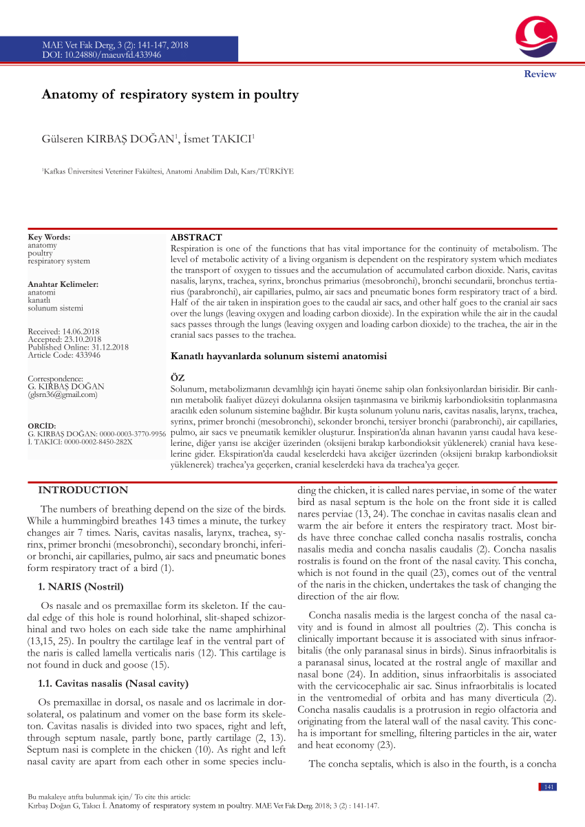 Pdf Anatomy Of Respiratory System In Poultry