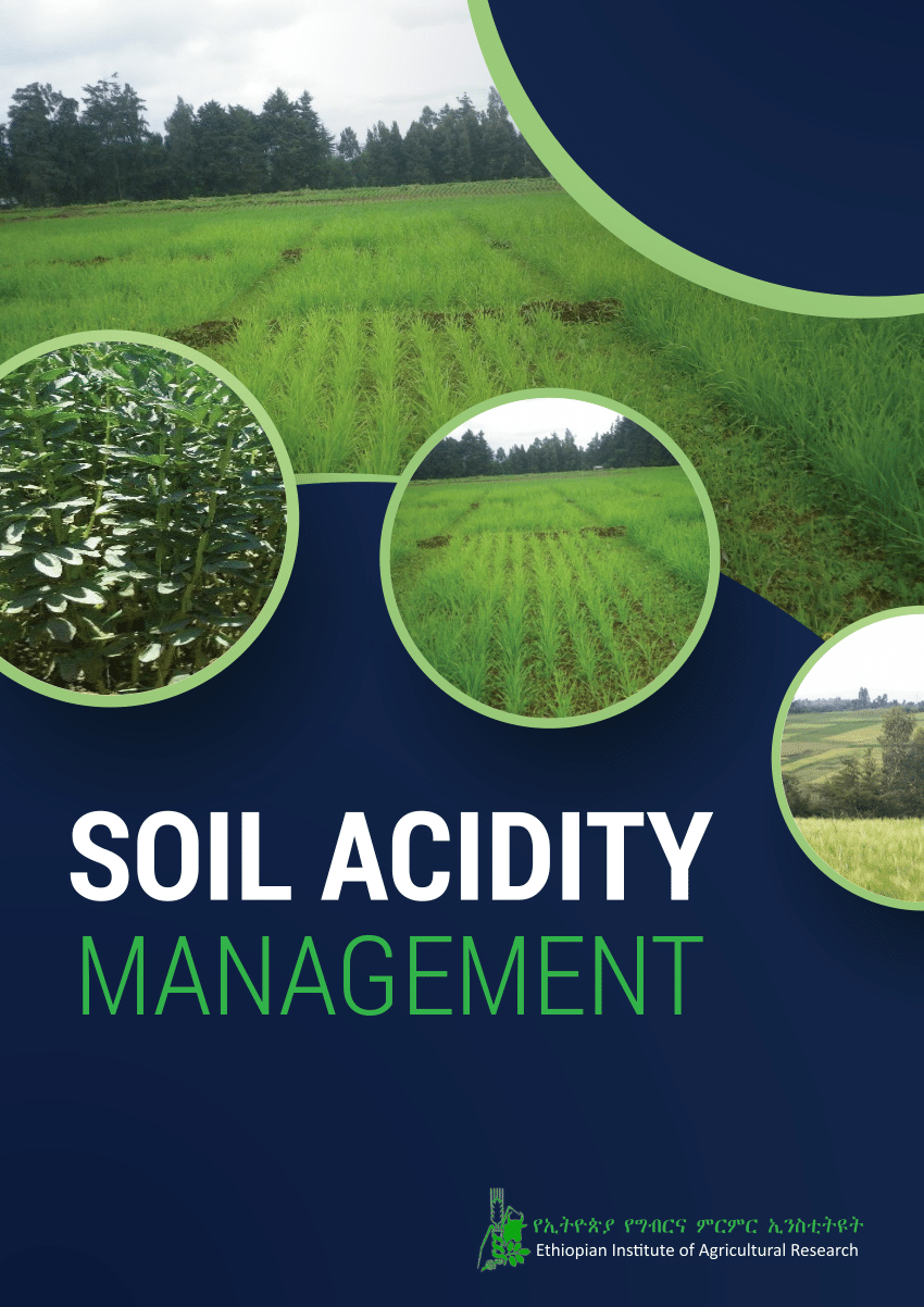 Pdf Soil Acidity Management