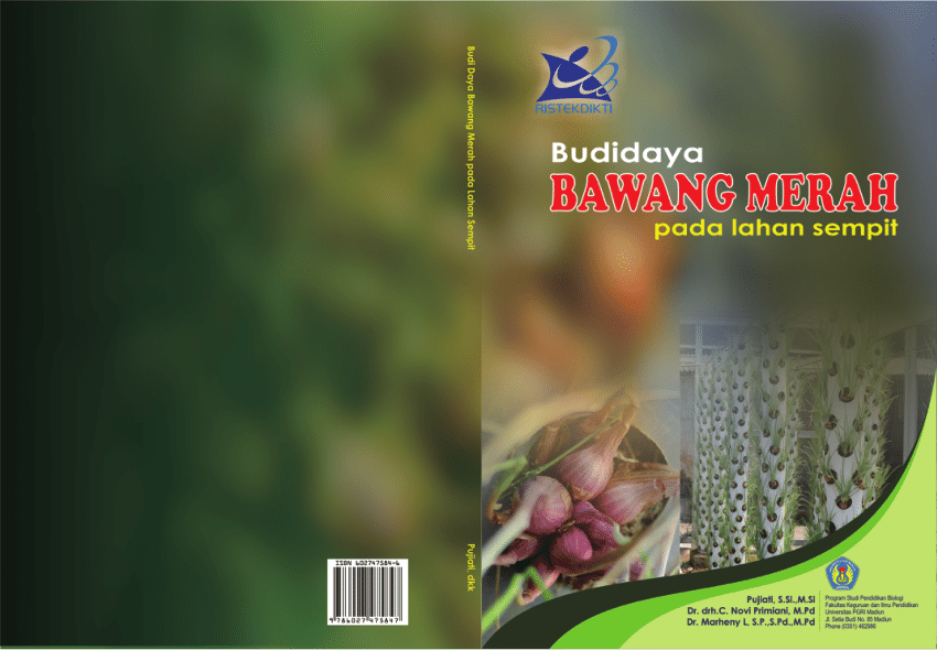 (PDF) Budidaya Bawang Merah pada lahan sempit