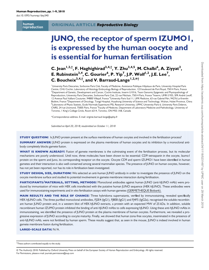 Pdf Juno The Receptor Of Sperm Izumo1 Is Expressed By The Human Oocyte And Is Essential For Human Fertilisation