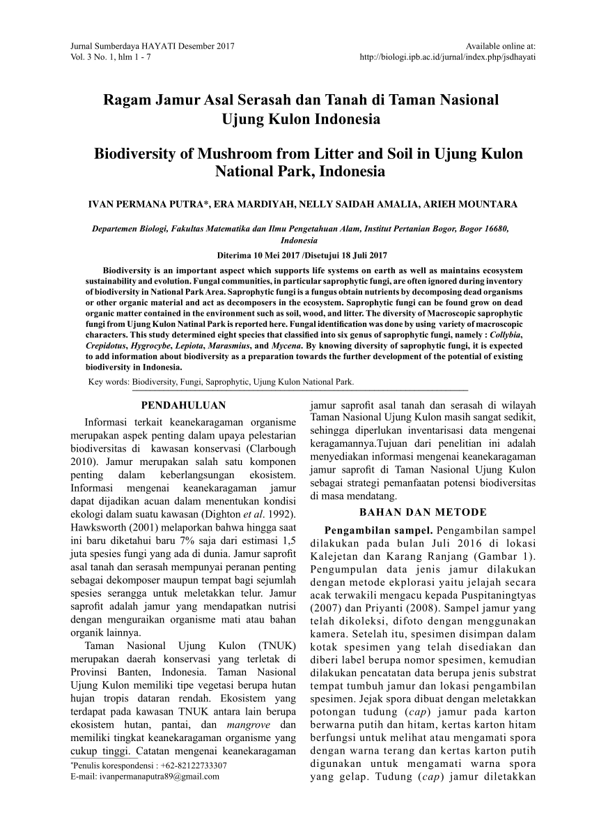Pdf Ragam Jamur Asal Serasah Dan Tanah Di Taman Nasional