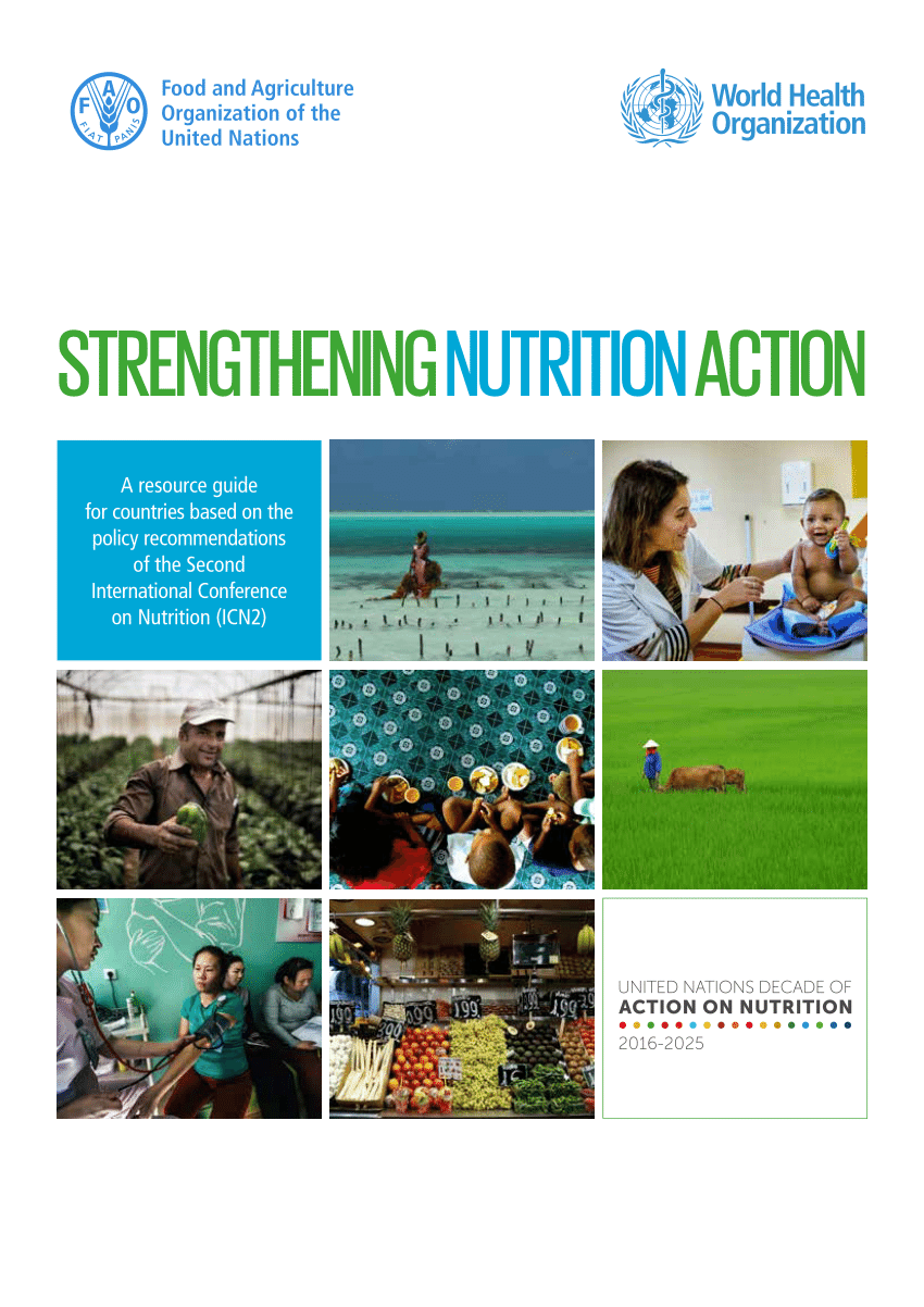 (PDF) STRENGTHENING NUTRITION ACTION - A resource guide ...