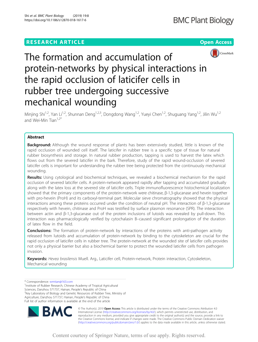 PDF) The formation and accumulation of protein-networks by physical interactions in the rapid occlusion of laticifer cells in rubber tree undergoing successive mechanical wounding picture