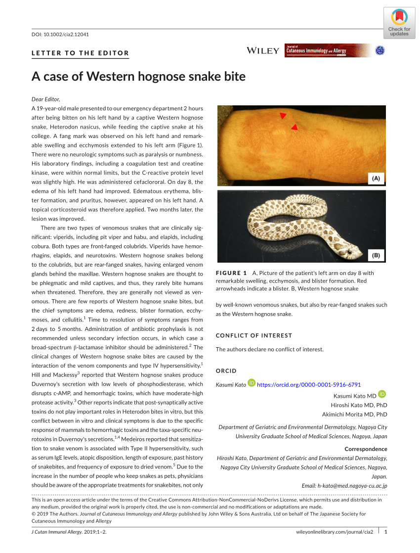Pdf A Case Of Western Hognose Snake Bite,How To Clean Hats Without Ruining Them