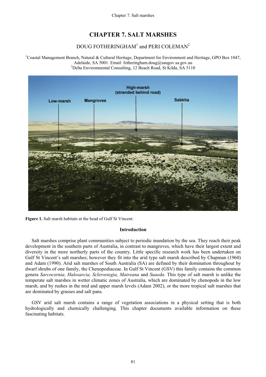 PDF) Chapter 7. Salt marshes