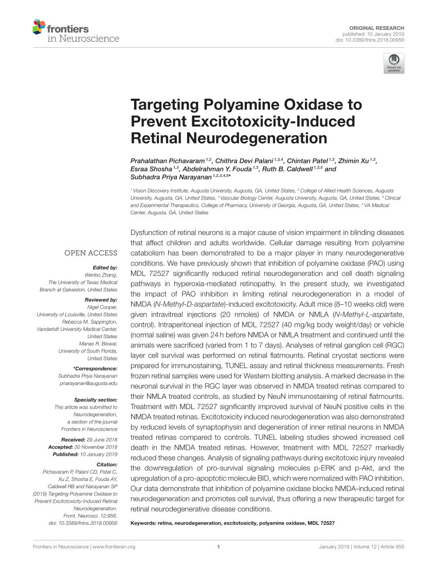 PDF) Targeting Polyamine Oxidase to Prevent Excitotoxicity-Induced 