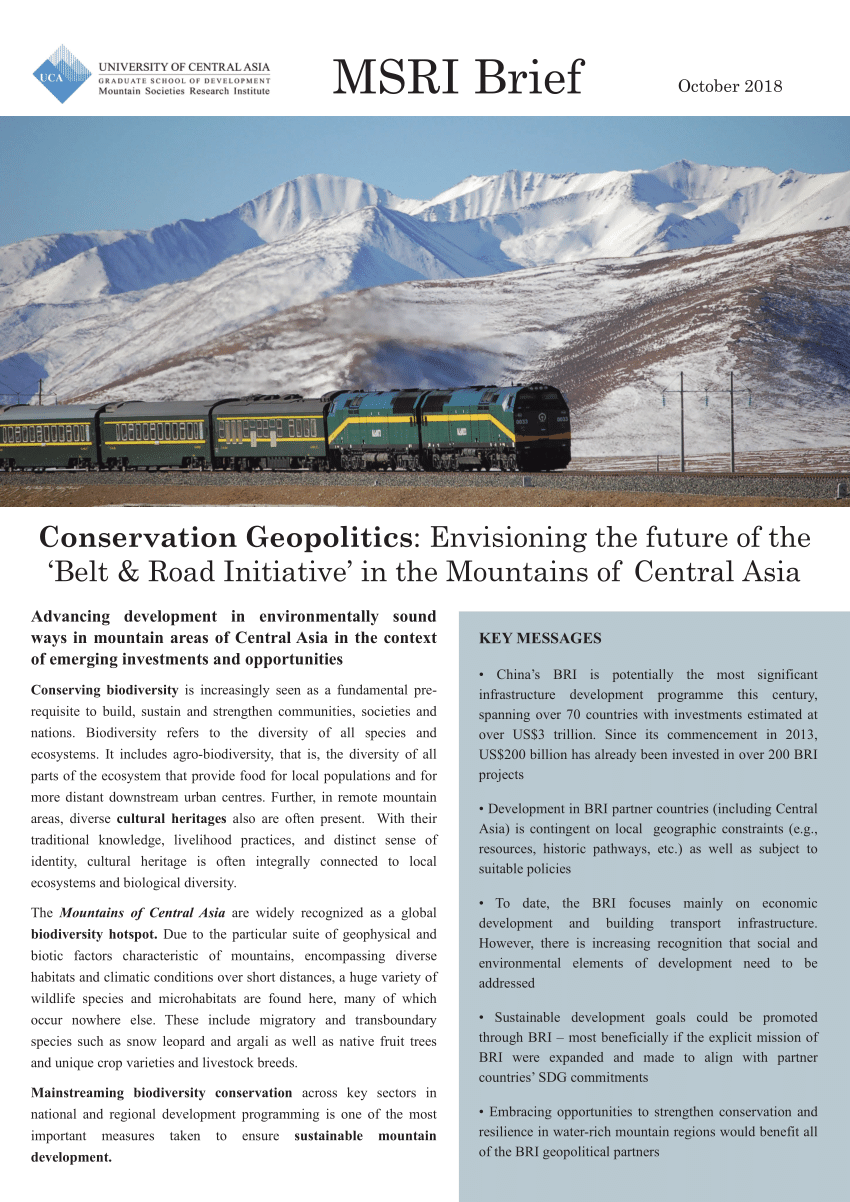 (PDF) Conservation Geopolitics: Envisioning the future of the ‘Belt & Road Initiative’ in the ...
