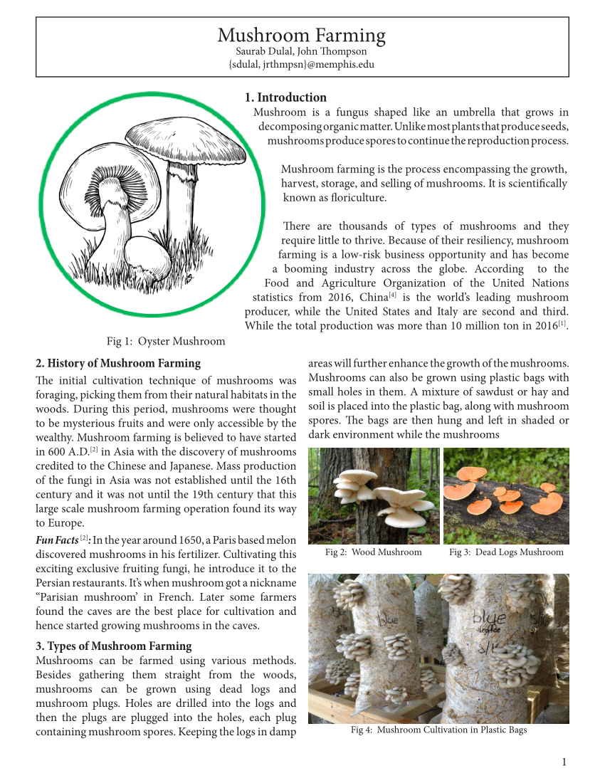 research paper on mushroom production