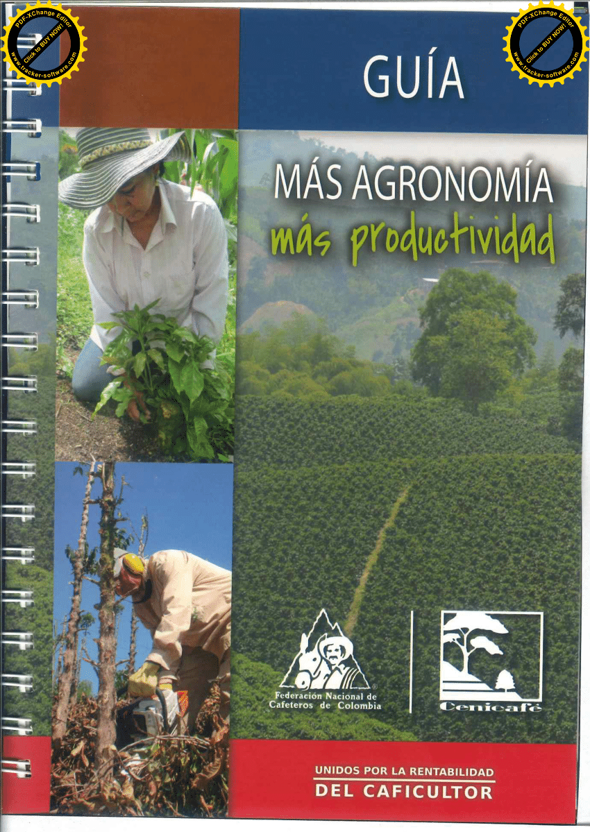(PDF) Guía más agronomía, más productividad