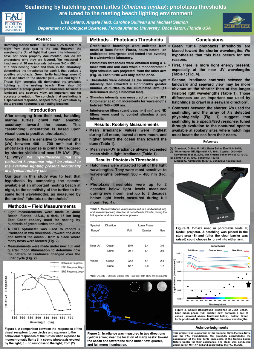 (PDF) International Sea Turtle Symposium