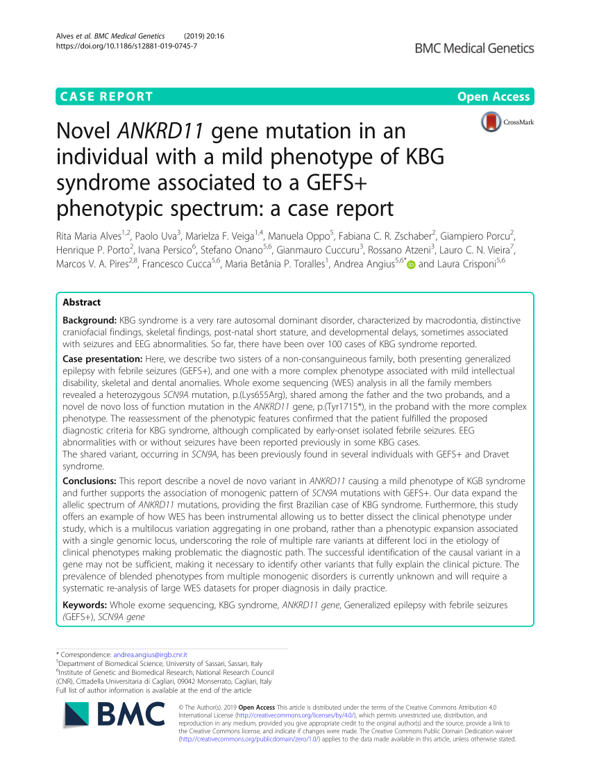 Pdf Novel Ankrd11 Gene Mutation In An Individual With A Mild Phenotype Of Kbg Syndrome 