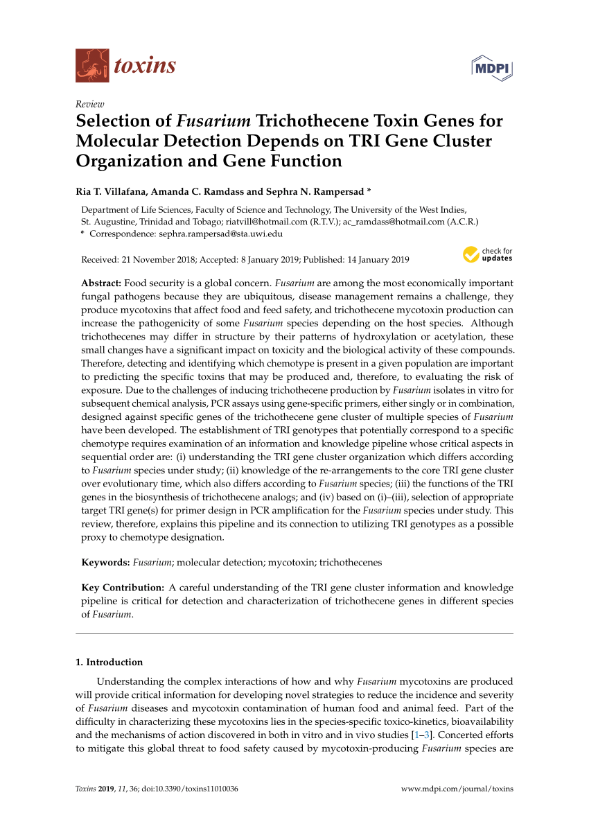 PDF) Selection of Fusarium Trichothecene Toxin Genes for Molecular ...