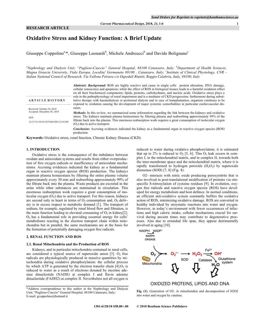 PDF) Oxidative Stress and Kidney Function: A Brief Update