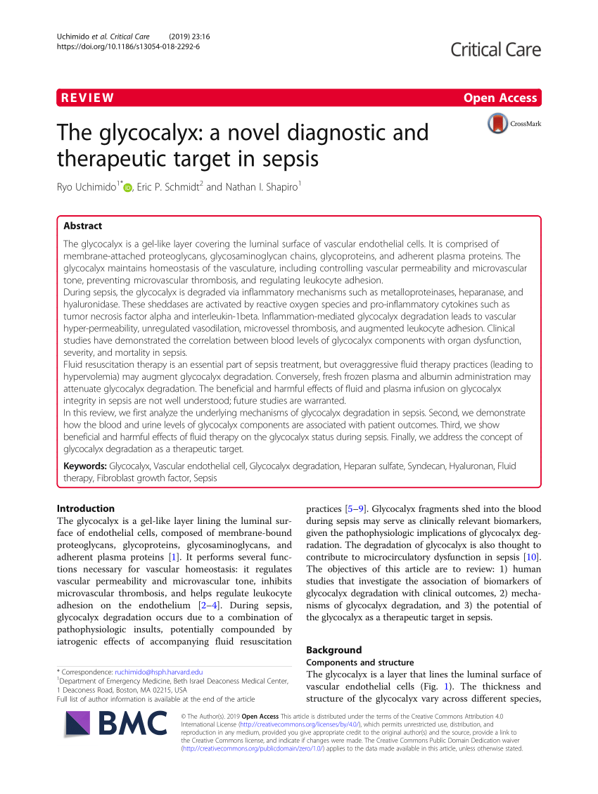 Pdf The Glycocalyx A Novel Diagnostic And Therapeutic Target In Sepsis
