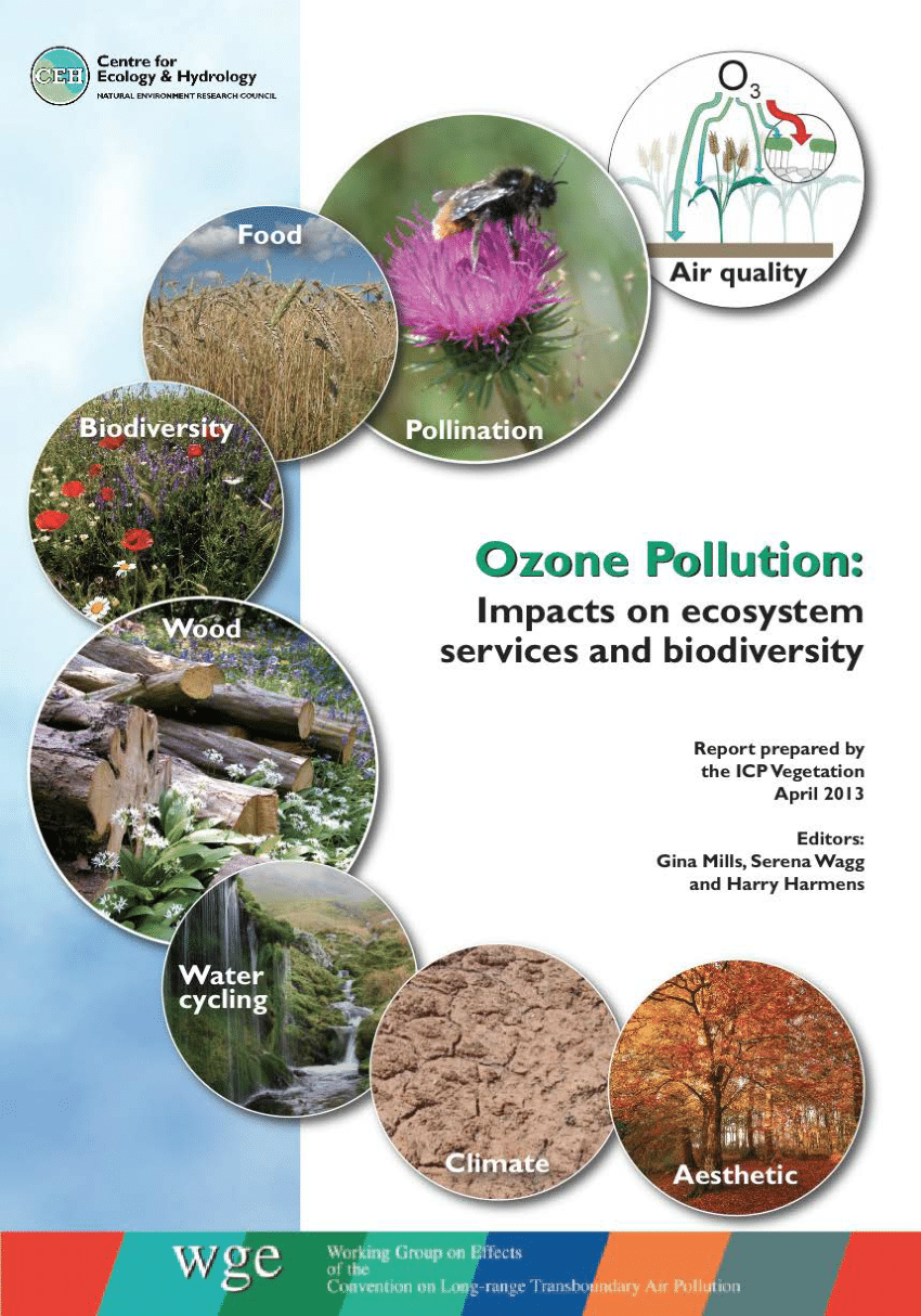 Pdf Ozone Pollution Impacts On Ecosystem Services And Biodiversity 4636