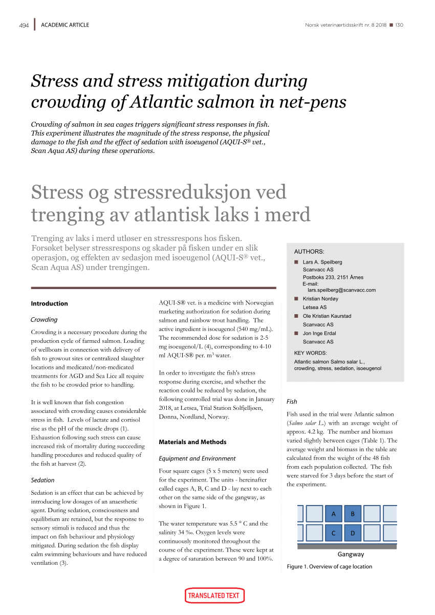 Pdf Stress And Stress Mitigation During Crowding Of Atlantic Salmon In Net Pens Norw Vet Journal 08 18 English Translation