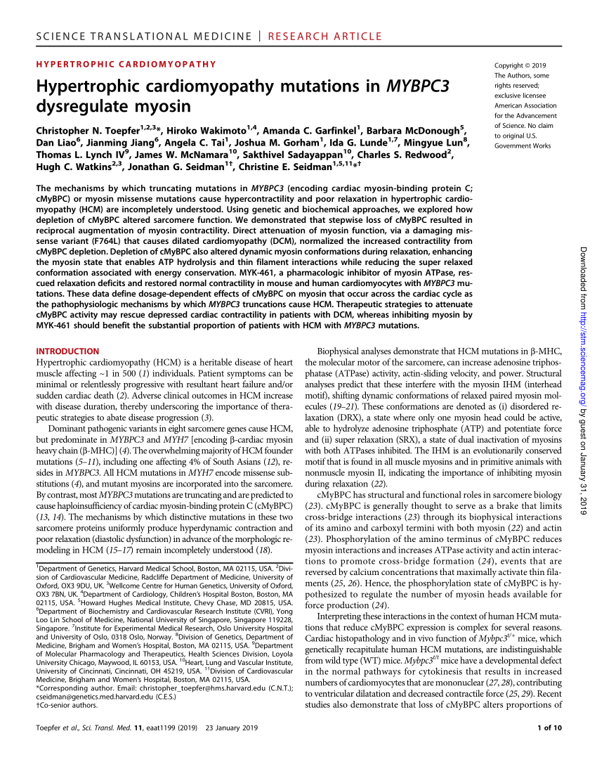 Pdf Hypertrophic Cardiomyopathy Mutations In Mybpc3 Dysregulate Myosin