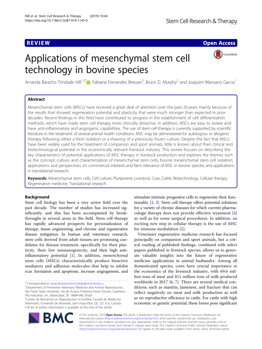 PDF) Applications of mesenchymal stem cell technology in bovine species