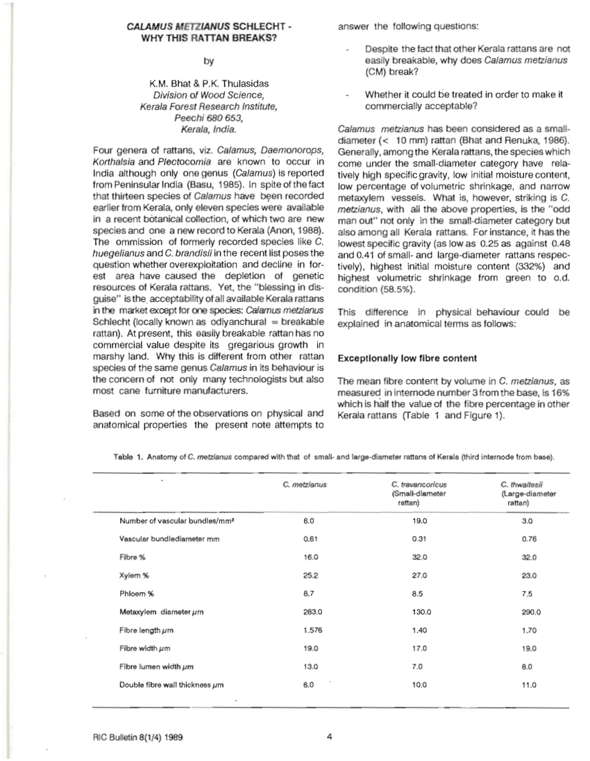 (PDF) CALAMUS METZTIANUS SCHLECHT ­ WHY THIS RATTAN BREAKS?