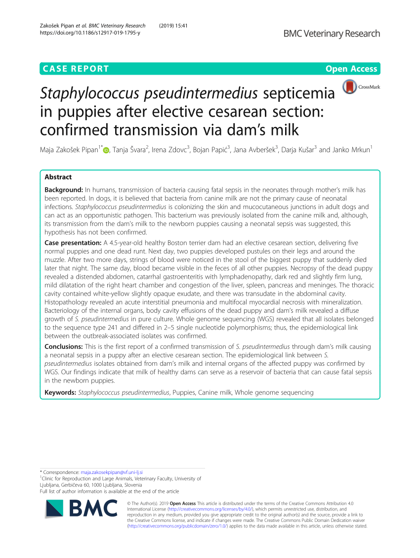 (PDF) Staphylococcus pseudintermedius septicemia in puppies after