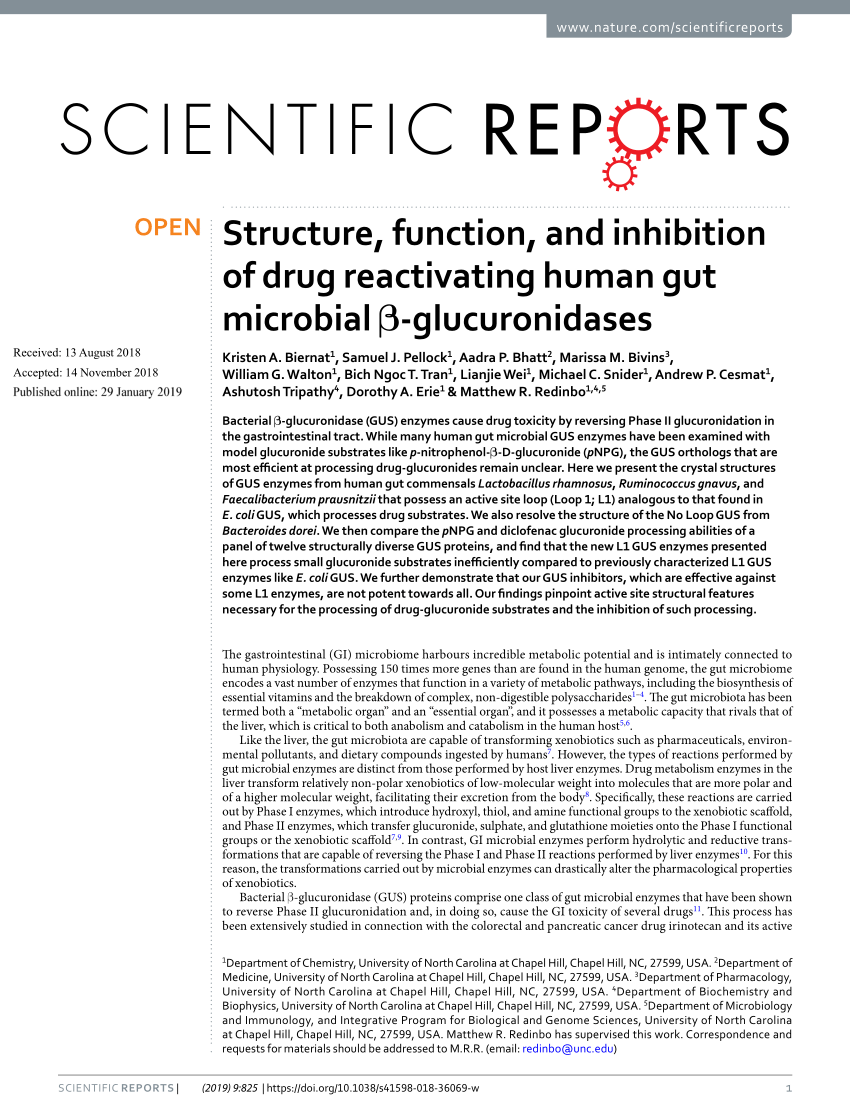 Pdf Structure Function And Inhibition Of Drug Reactivating Human Gut Microbial B Glucuronidases