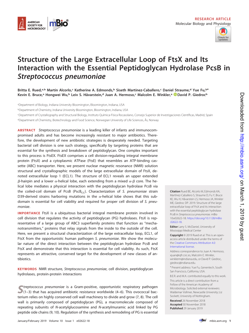 Model For Regulated Pg Hydrolysis By The Ftsex Pcsb Complex Whose Download Scientific Diagram