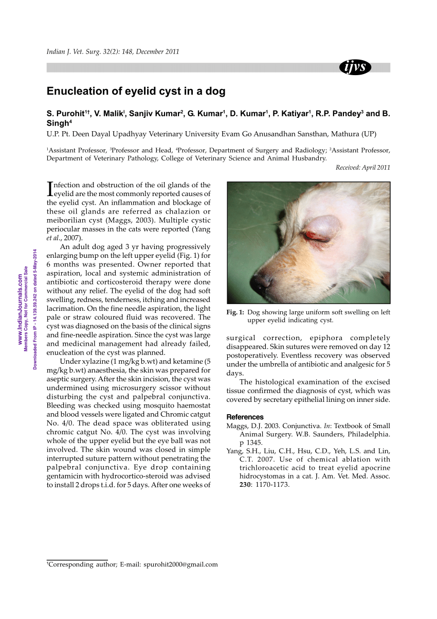 how do you treat a cyst on a dogs eye