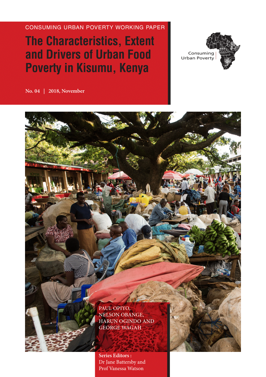 urban poverty research papers