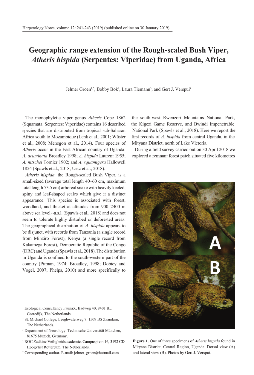 PDF) Geographic range extension of the Rough-scaled Bush Viper, Atheris  hispida (Serpentes: Viperidae) from Uganda, Africa