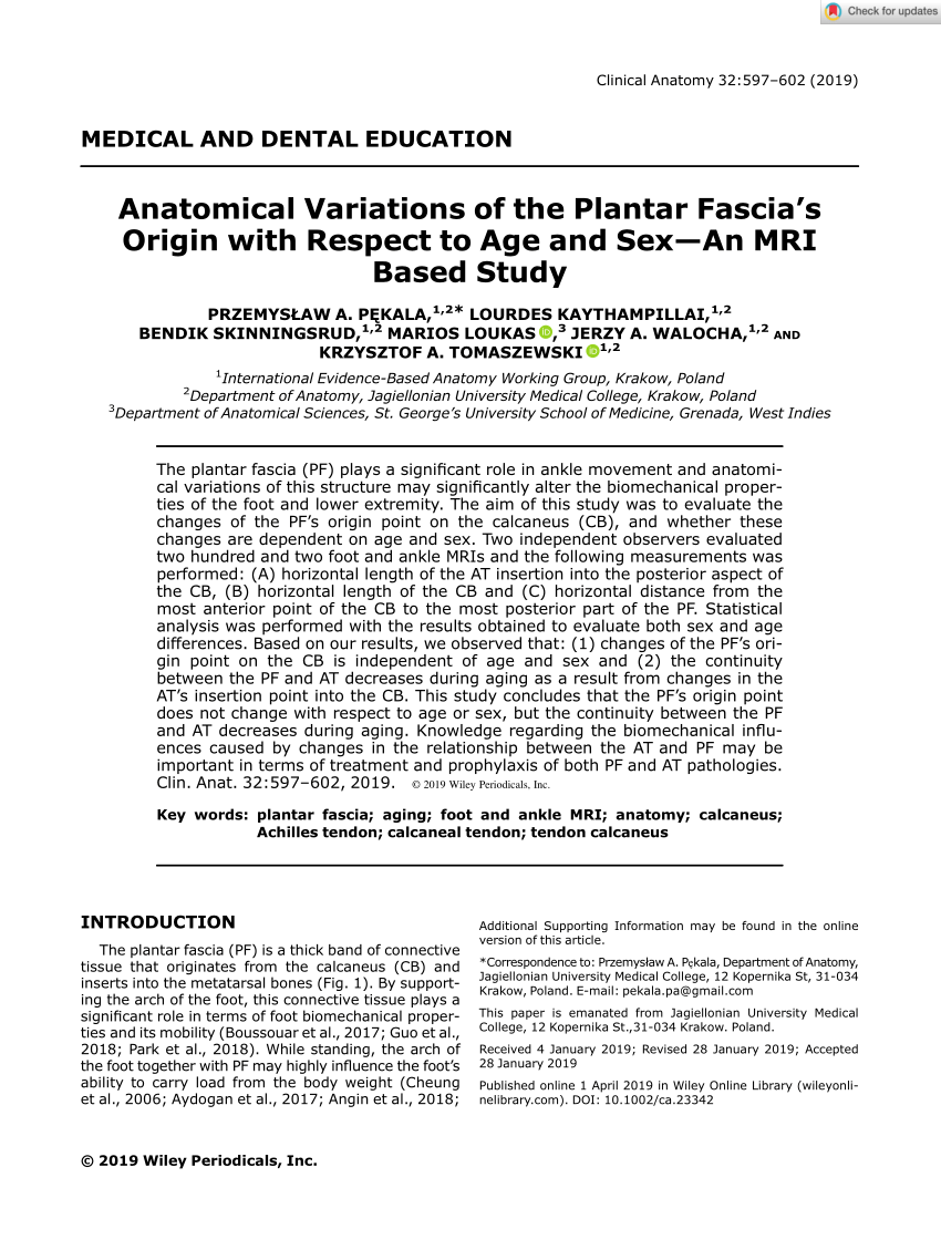 Pdf Anatomical Variations Of The Plantar Fascias Origin With Respect To Age And Sex An Mri 