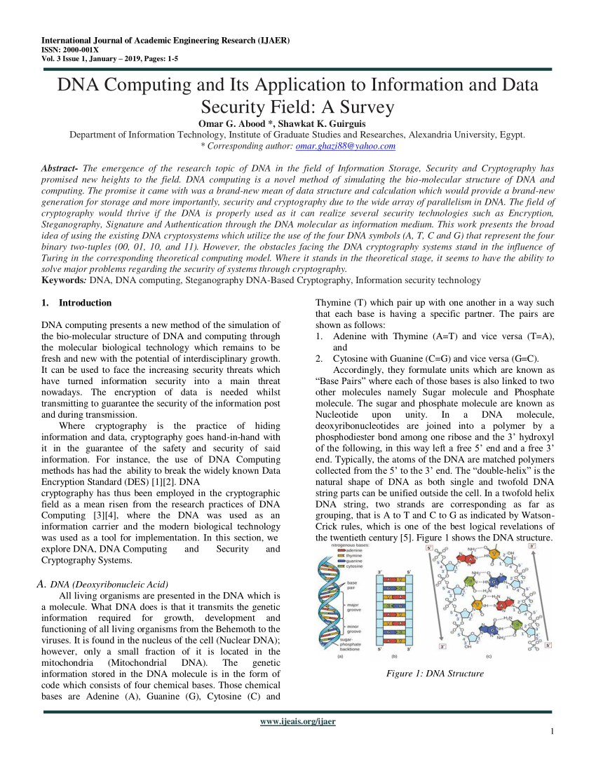 dna computing research paper