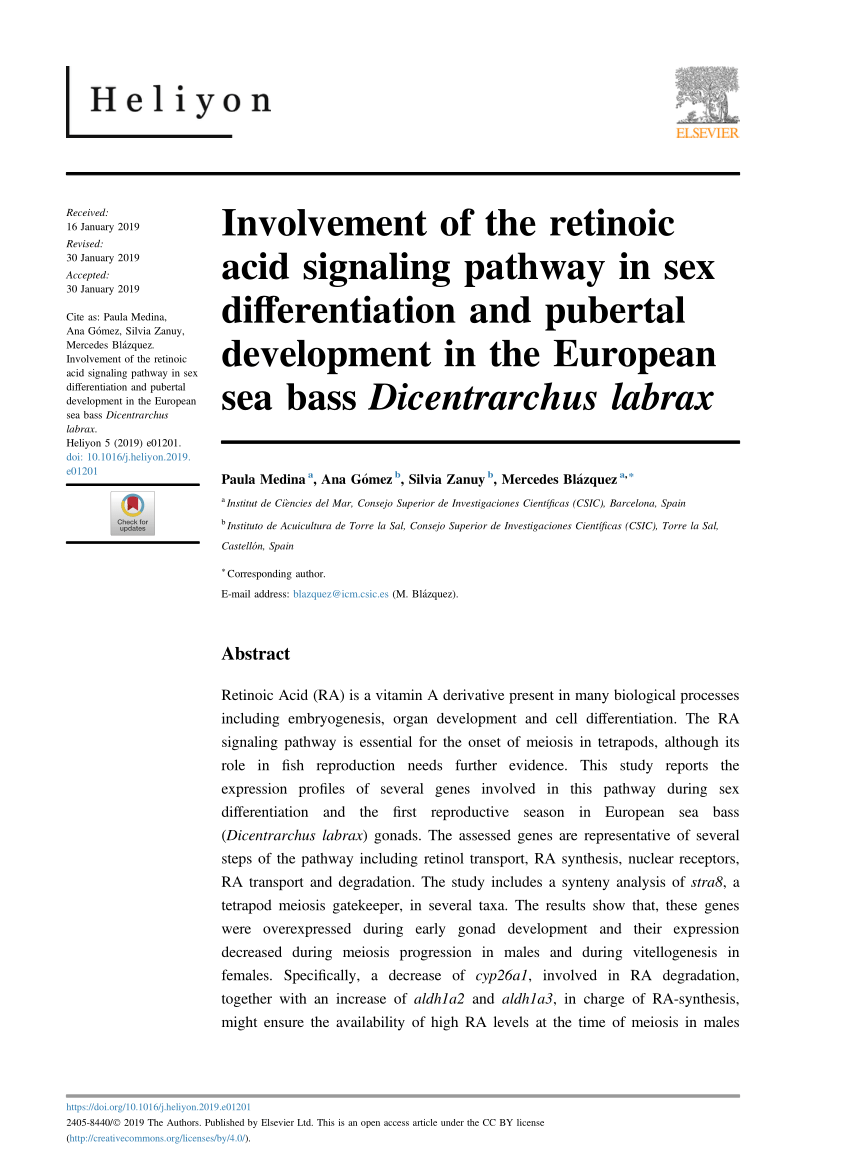 PDF) Involvement of the retinoic acid signaling pathway in sex ...