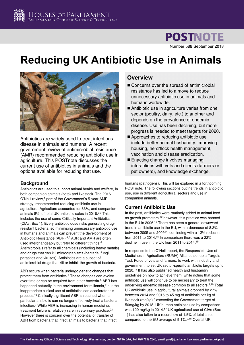 PDF) Reducing UK Antibiotic Use in Animals