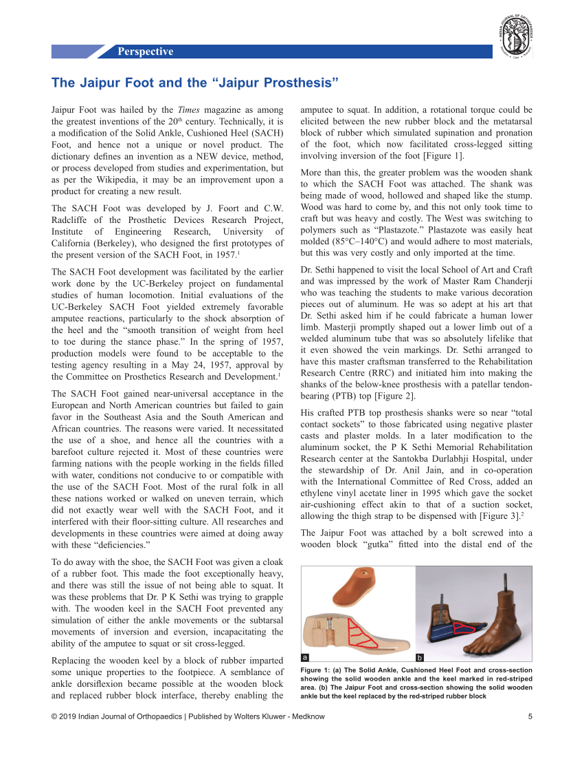 PDF) Development of 3d Printable Passive Prosthetic Feet | IOSR Journals -  Academia.edu