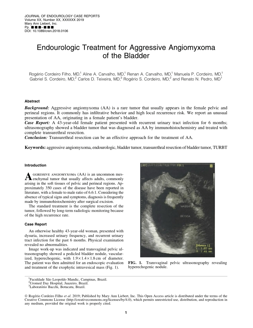 PDF) Endourologic Treatment for Aggressive Angiomyxoma of the Bladder