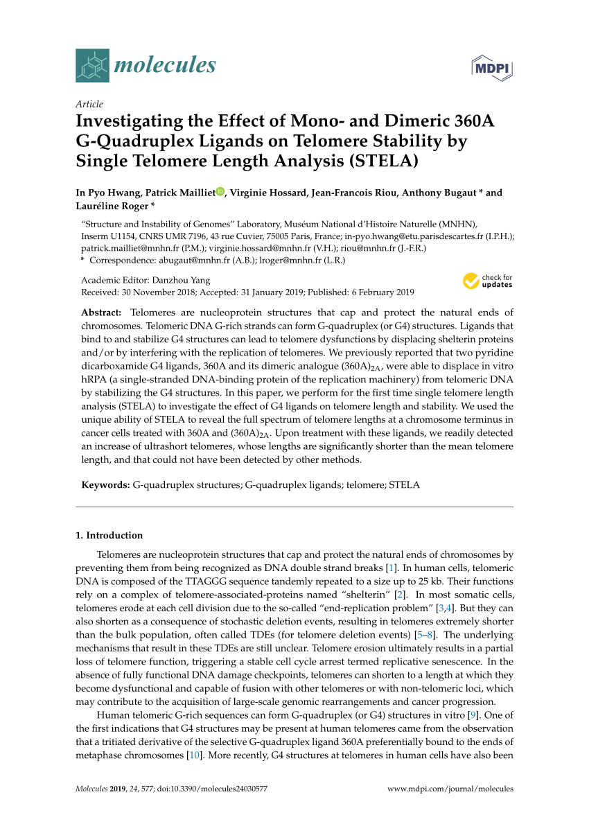 Pdf Investigating The Effect Of Mono And Dimeric 360a G Quadruplex Ligands On Telomere Stability By Single Telomere Length Analysis Stela