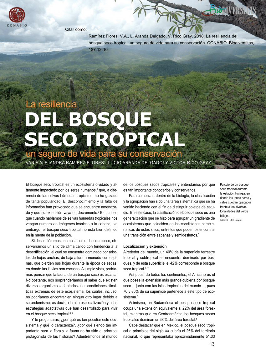 plantas y animales del bosque seco tropical