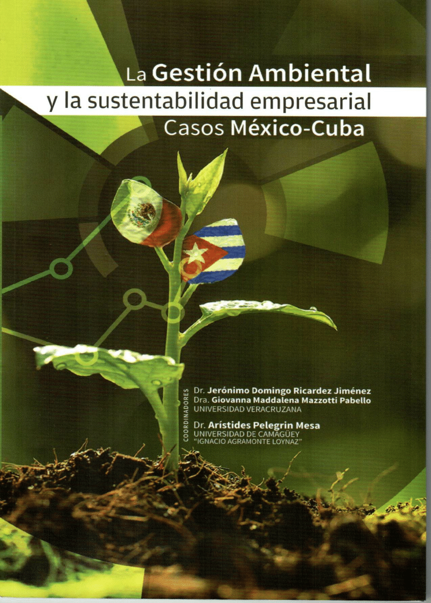 (PDF) La Contabilidad de Gestión Ambiental. Casos de aplicación México ...