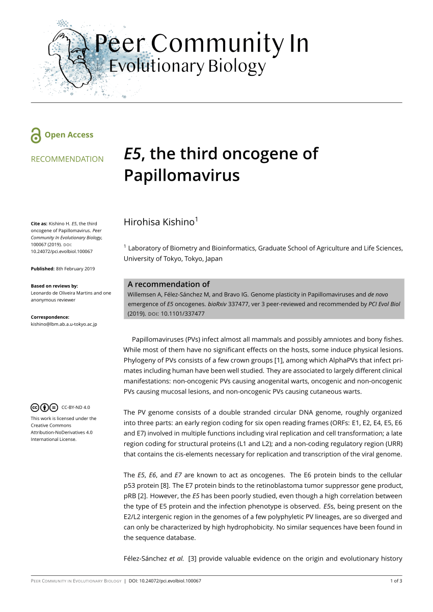 papillomavirus oncogene definition