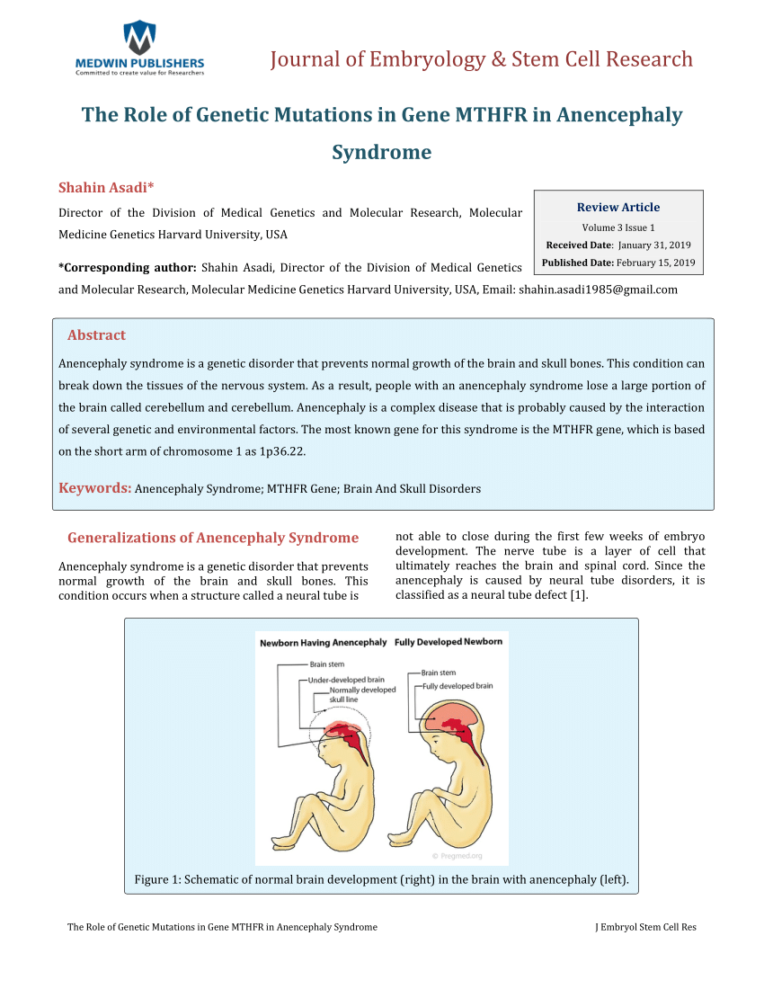 research paper on embryology