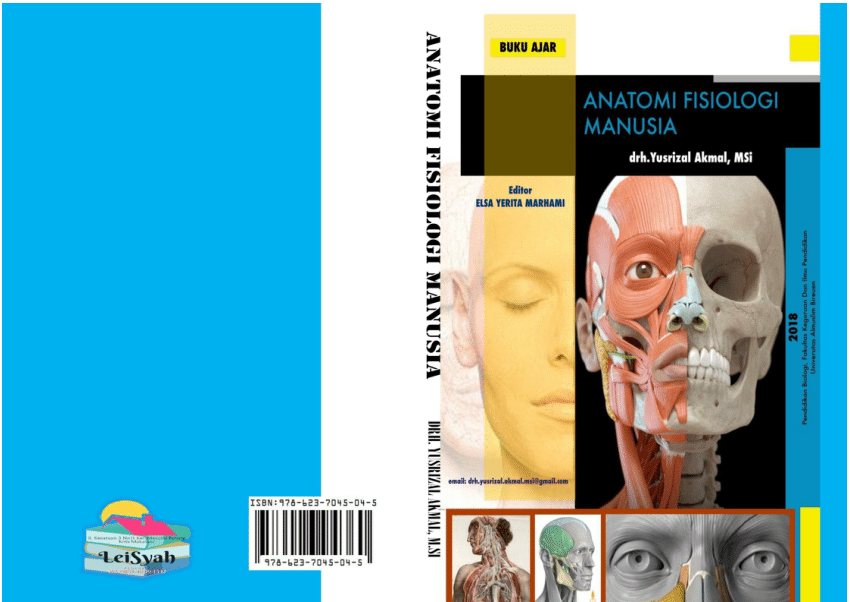 buku anatomi fisiologi manusia pdf