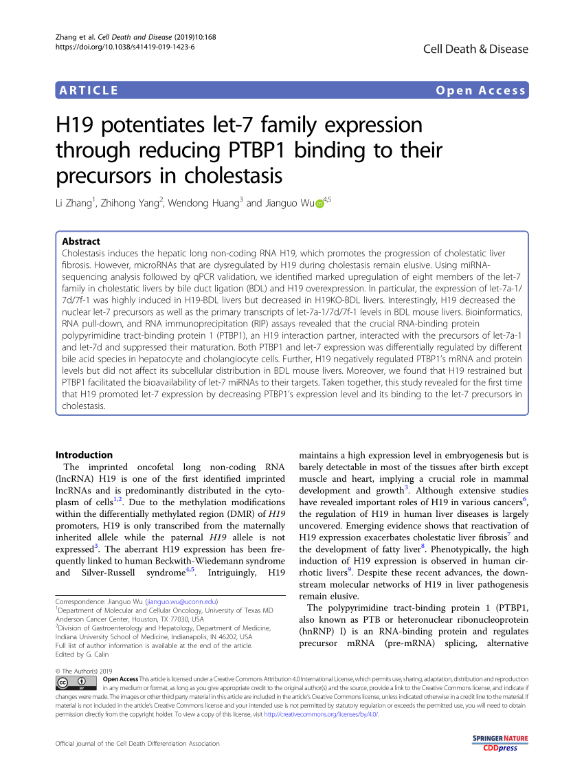 Reliable H19-319_V2.0 Study Guide